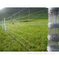 Free samples galvanized field wire mesh cattle fence